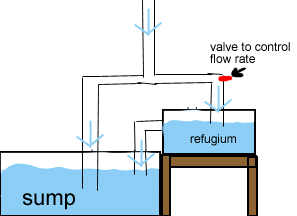 refugium plumbing diagram 25