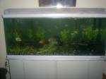 10129_1182478054548_1606119919_1689901_4764589_n.jpg