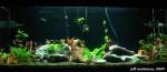 Full_Tank_021.jpg