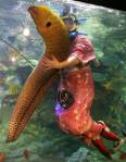 eel.jpg
