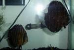 Picture_022.jpg