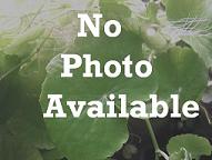 No_photograph