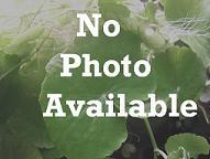 476No_photograph21