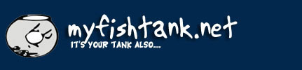 Freshwater & Saltwater Aquarium Fish Forum