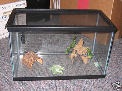 20 Gallon Fish Reptile Lizard Tank Cage w/ Lid & Extras