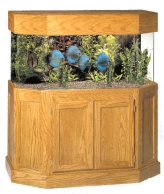 Flat back hexagon aquarium hood clearance